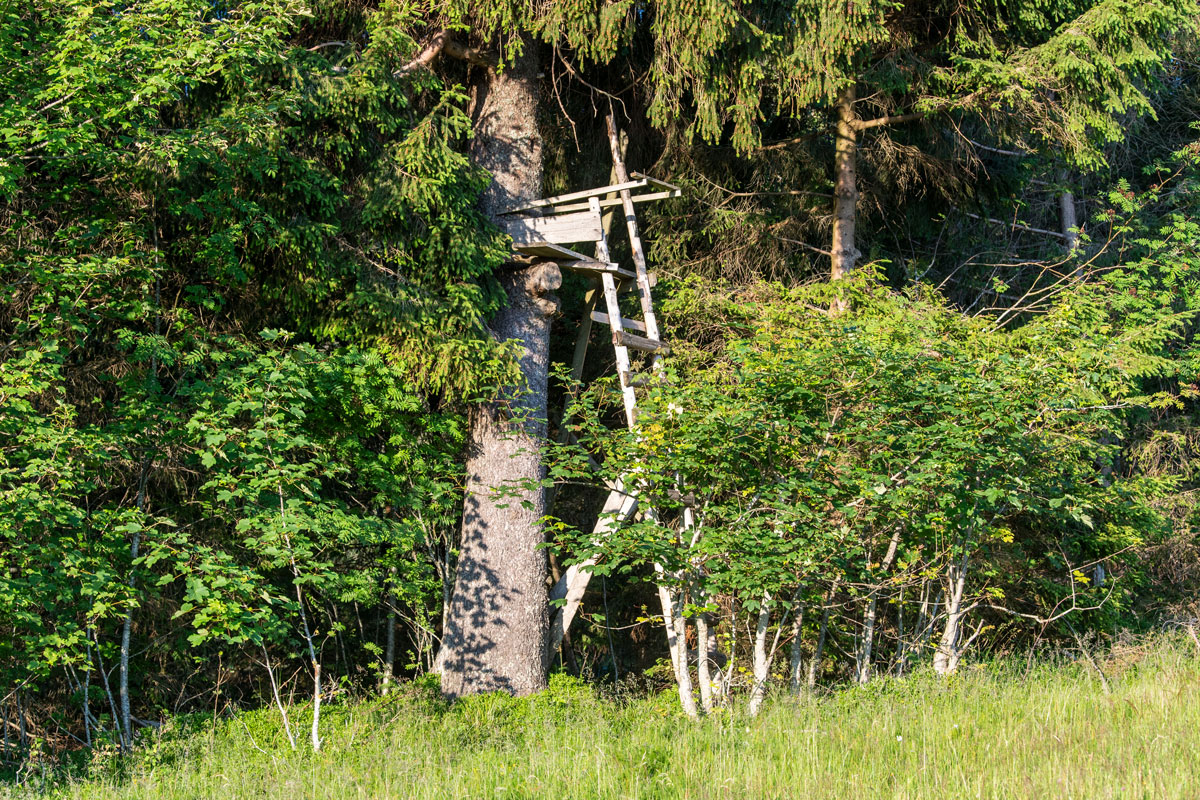 Hochsitz am Waldrand