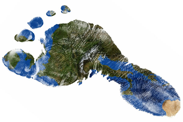 © Creativemarc / stock.adobe.com