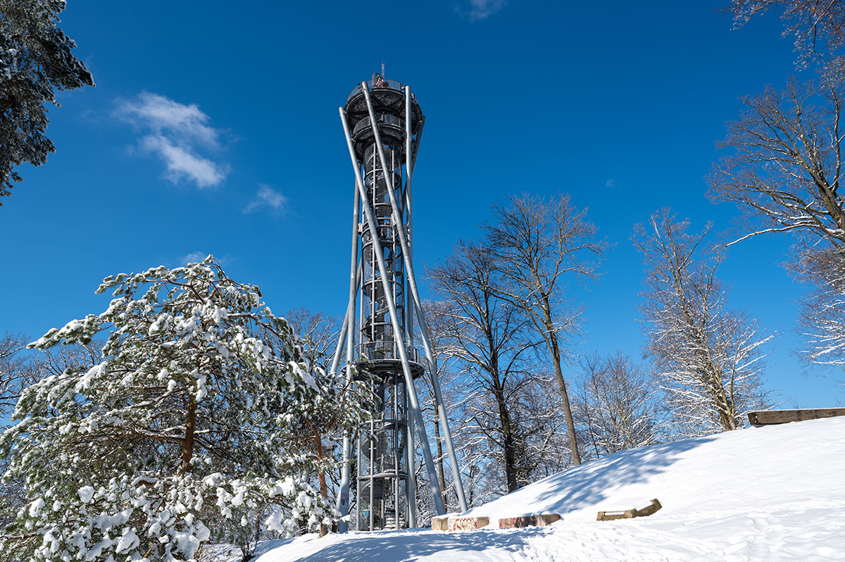 Hoher Turm mitten im Wald