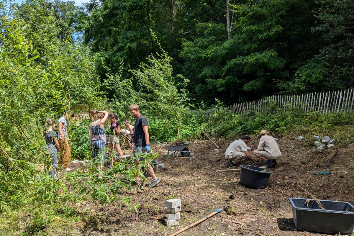 Menschen buddeln am Waldrand