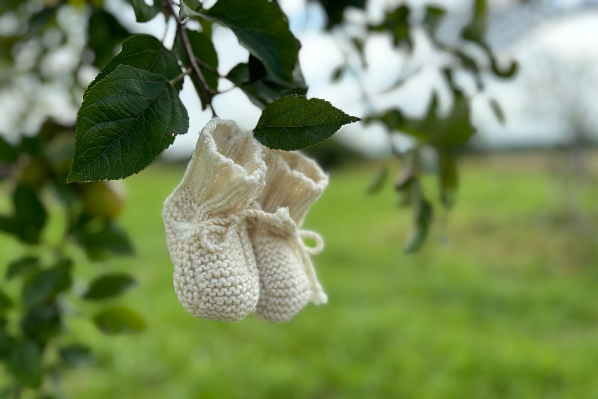Foto: Stadt Freiburg Kinderschuhe, die an einem Baum hängen