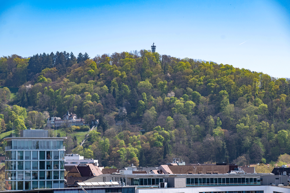 Blick auf den Schlossberg