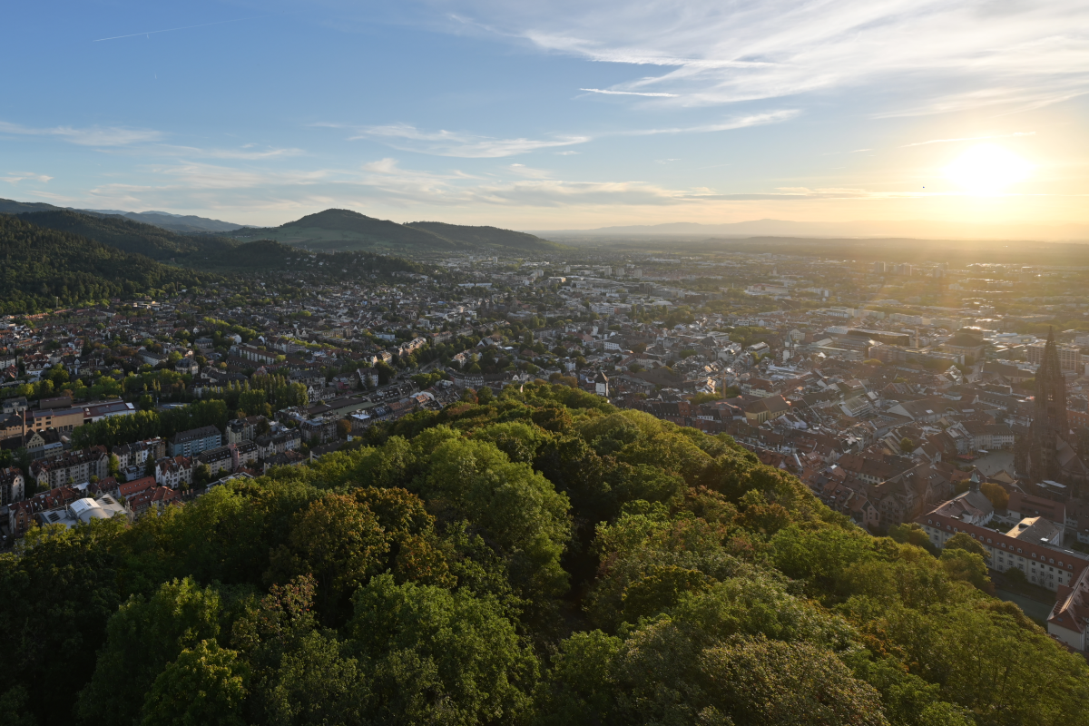 Blick auf die Stadt Freiburg Blick auf die Stadt Freiburg