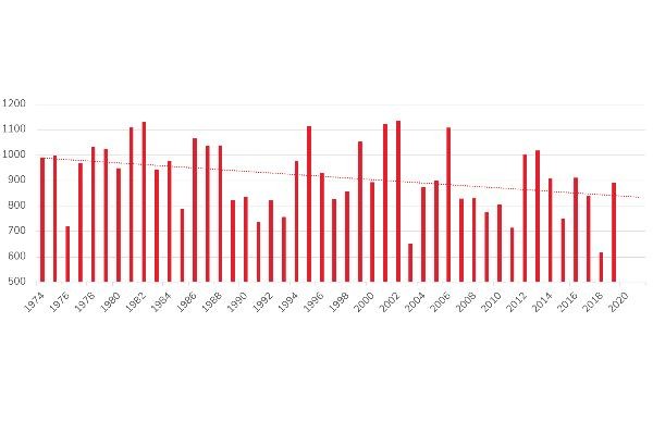 Niederschlagsentwicklung in Freiburg in mm/Jahr