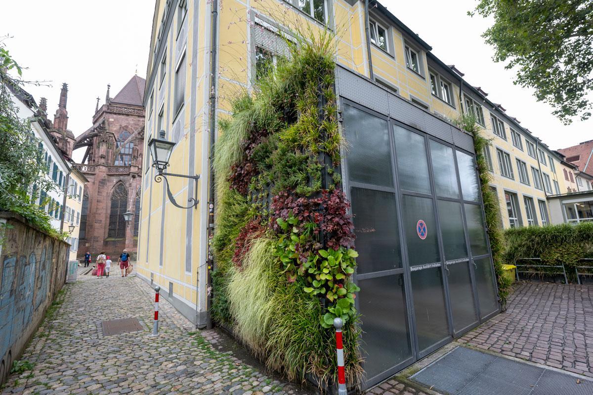 Fassadenbegrünung der Stadtbibliothek Freiburg