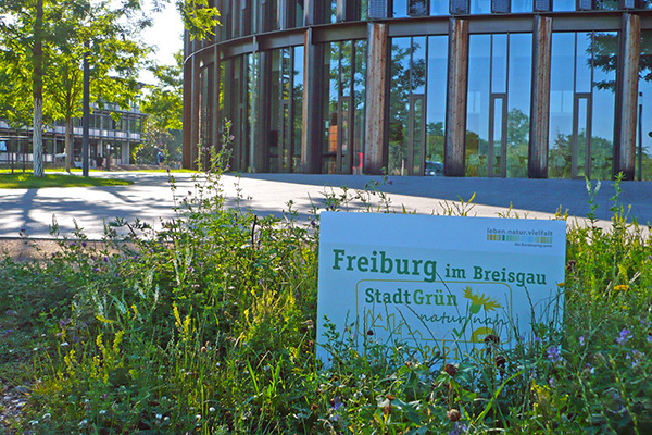 Eindämmung des Artenrückgangs - Umsetzung von Maßnahmen im Stadtgebiet und Labelverfahren Stadtgrün Naturnah