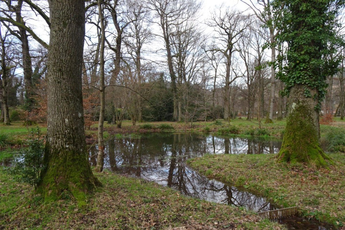 Möslepark, Foto: J. Trautner lichter Wald mit Wasser und Abfluss