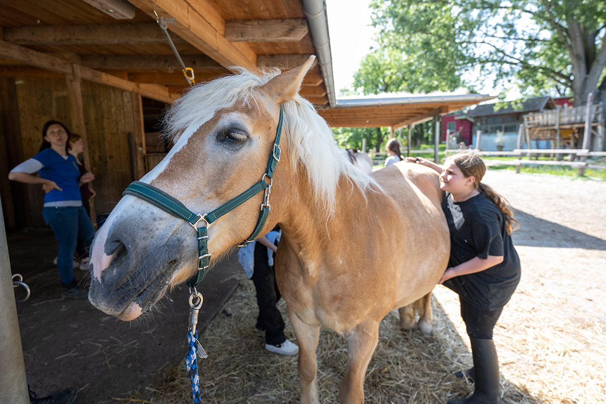 Ein Mädchen und ein Pferd