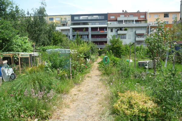 Gartenanlage mit Weg, im Hintergrund Mehrfamilienhäuser