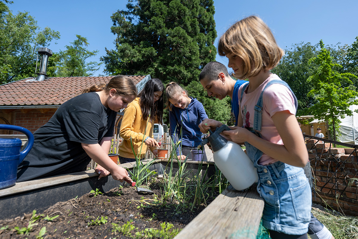 Kinder bepflanzen ein Hochbeet