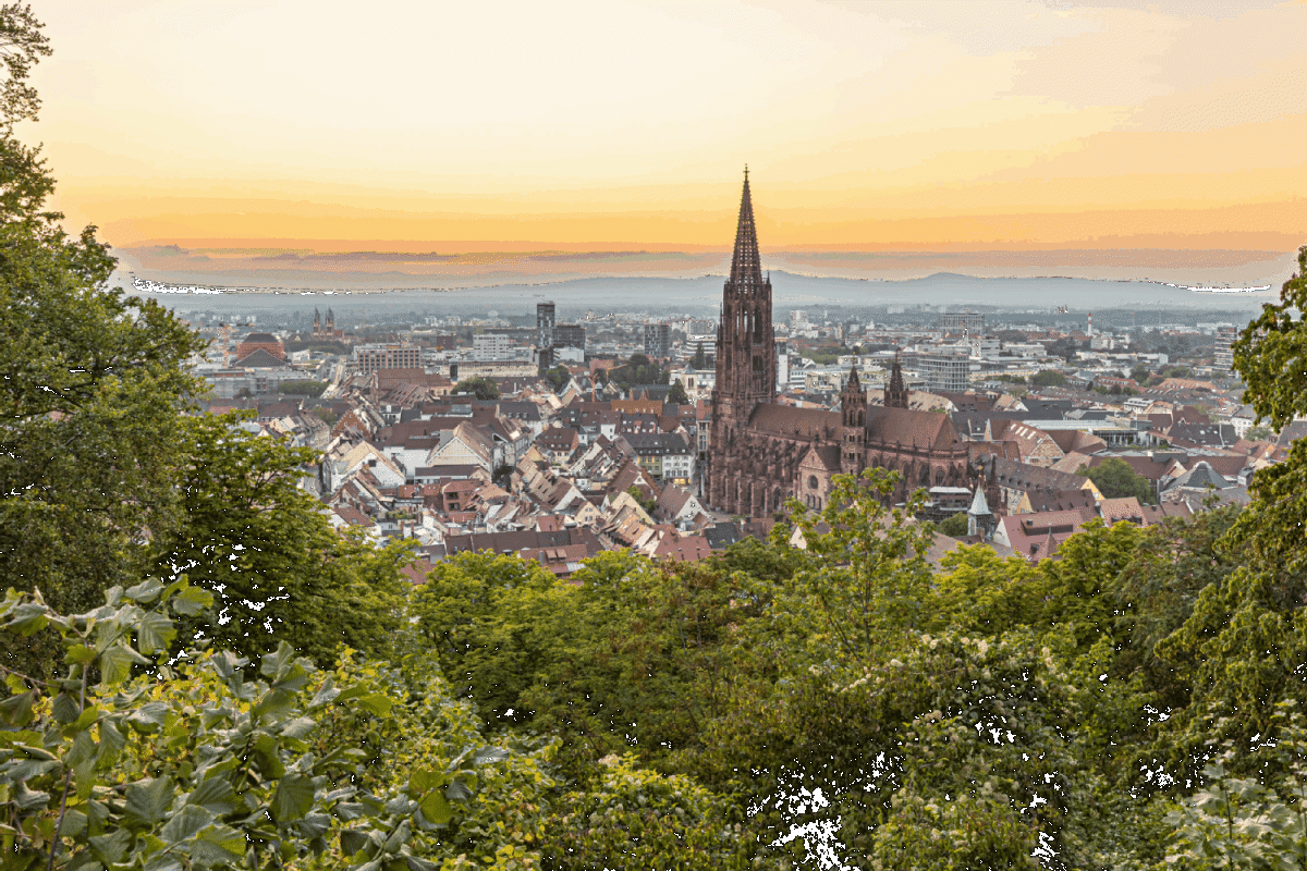 Blick auf die Innenstadt mit dem Freiburger Münster