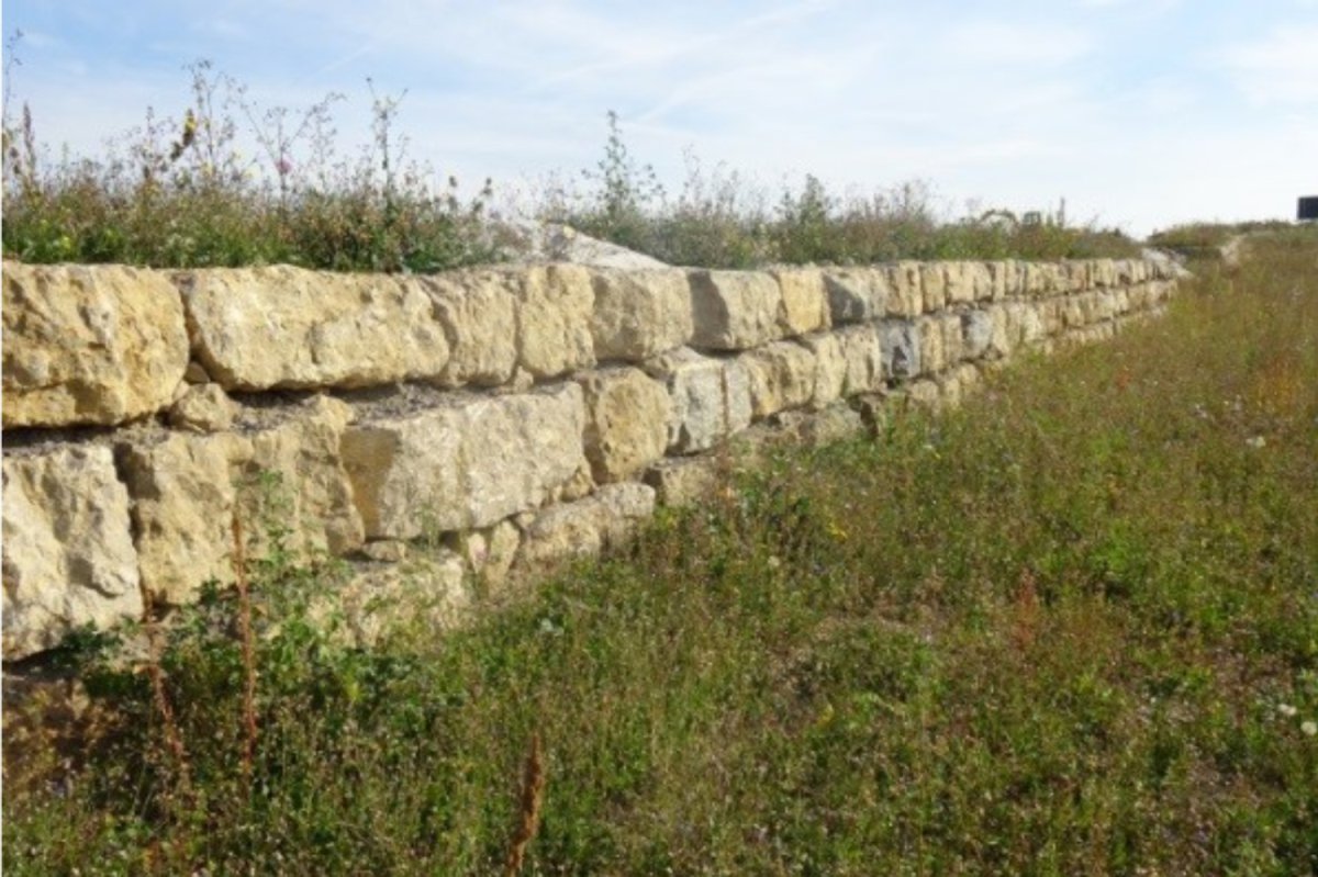 Erhalt/Neuanlage von artenreichen Wiesen/Magerrasen, Foto: J. Trautner Gras mit langer Sandstein-Mauer