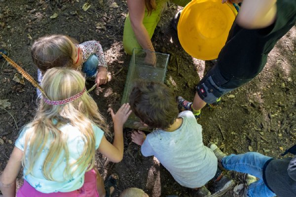 Kinder im Wald