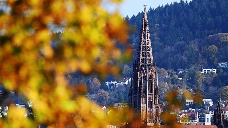 Münsteransicht mit Herbstlaub im Vordergrund Münsteransicht mit Herbstlaub im Vordergrund