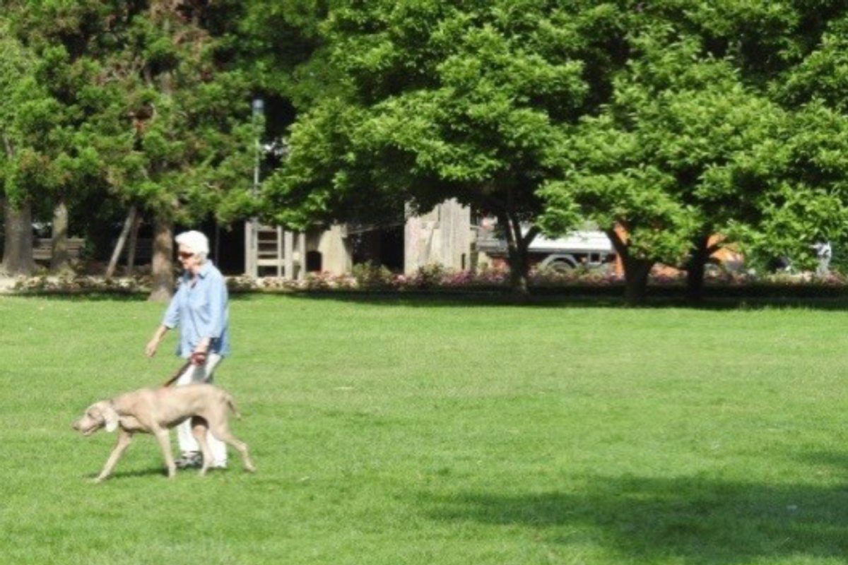 (öffentliche) Freiräume, Foto: J. Trautner Frau mit Hund auf großer Wiese