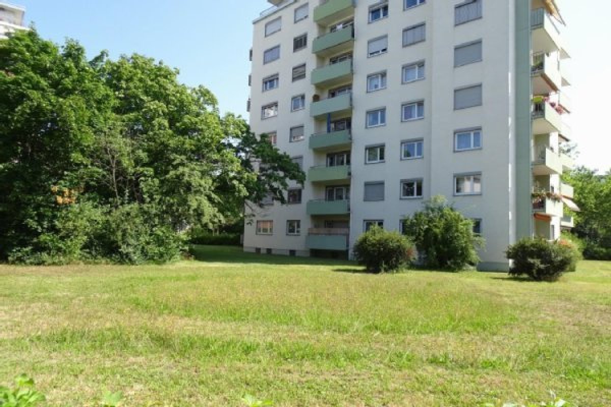 (öffentliche) Freiräume, Foto: J. Trautner große Wiese mit Büschen , Bäumen und 8 geschossigem Hochhaus