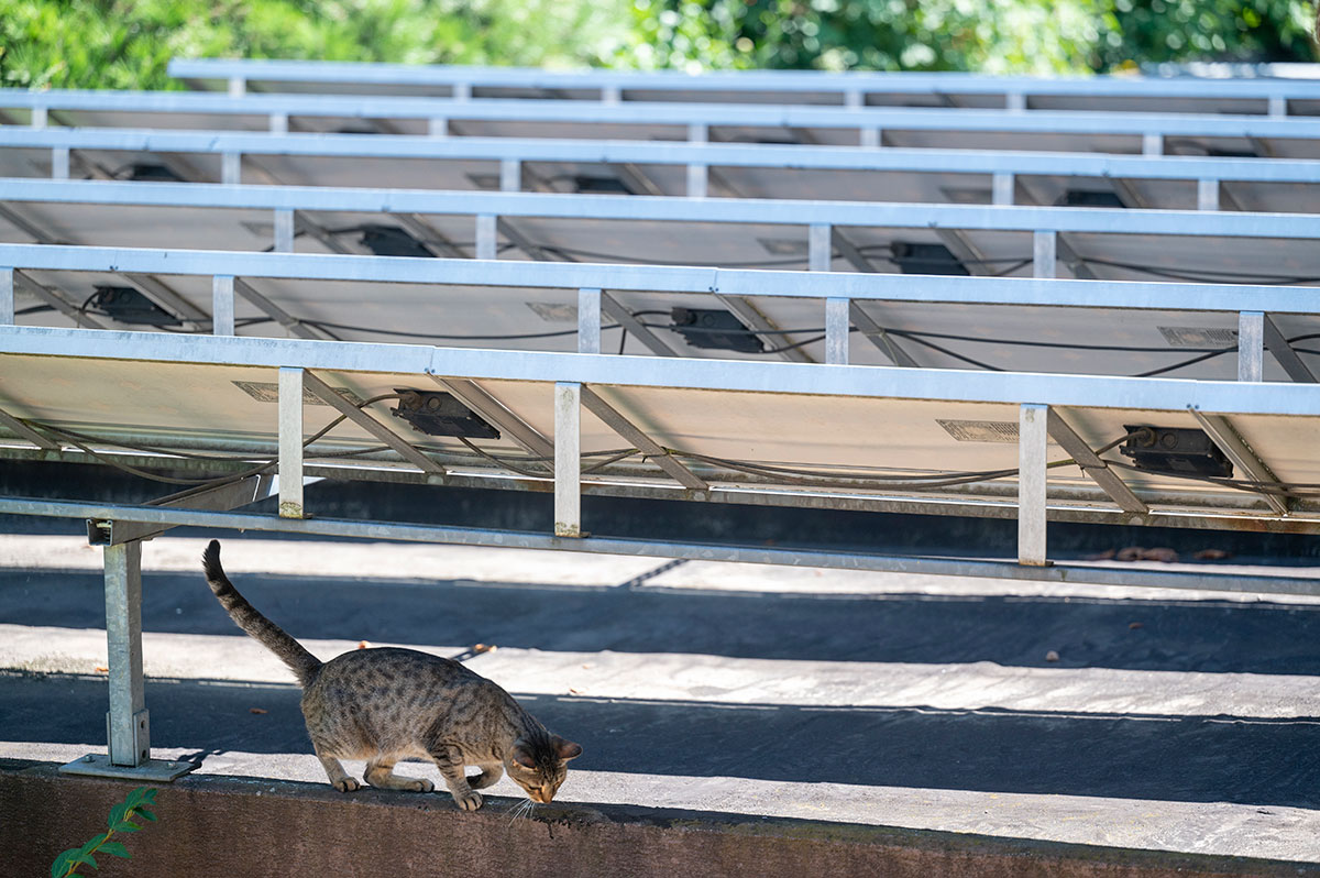 Solaranlage Solaranlage