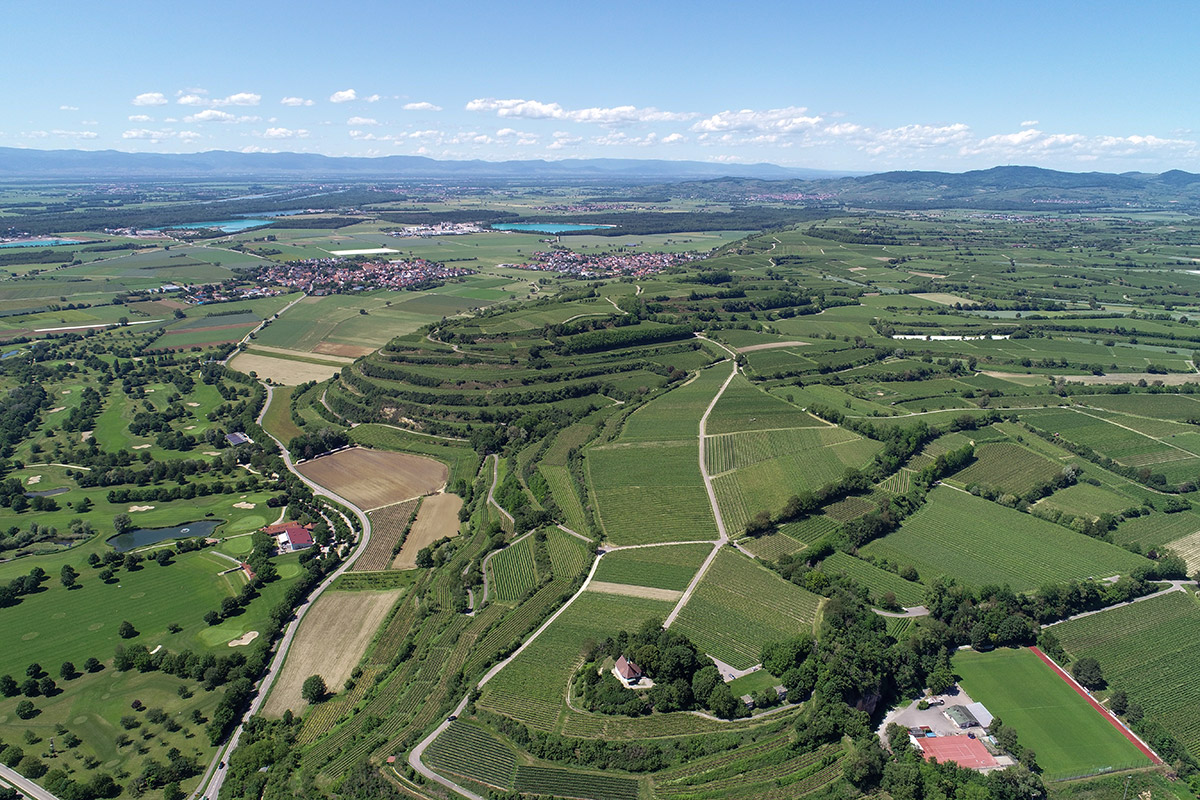 Tuniberg von oben