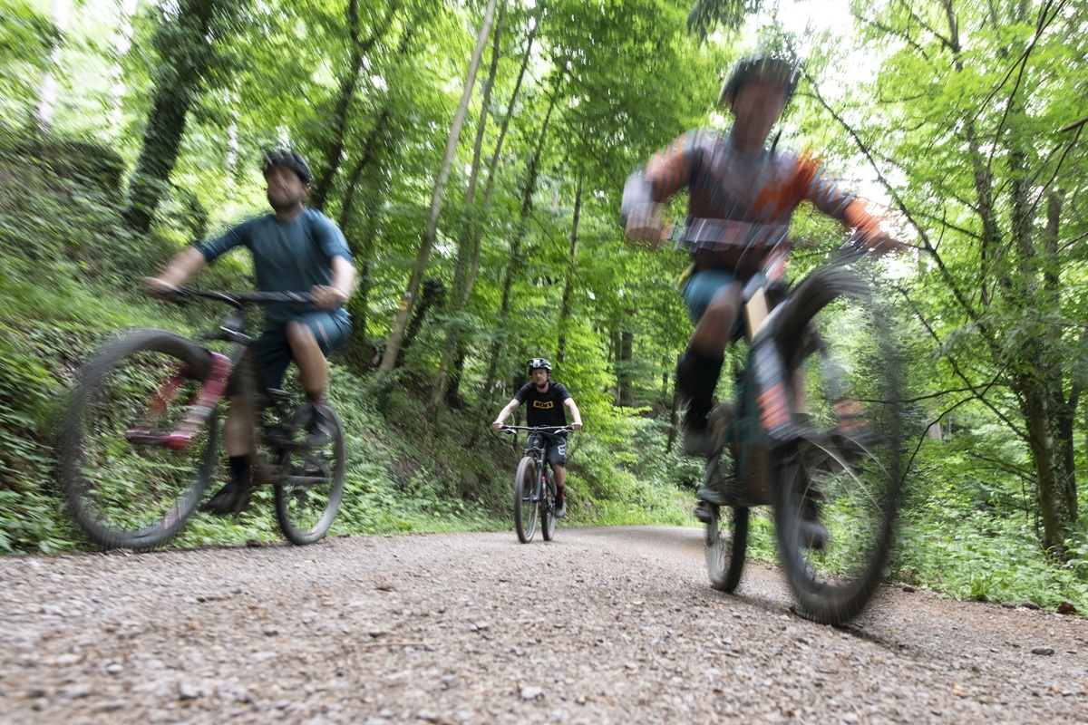 Drei Mountainbiker fahren im Wald.