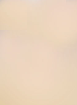 Carolin Jenkner Carolin Jenkner