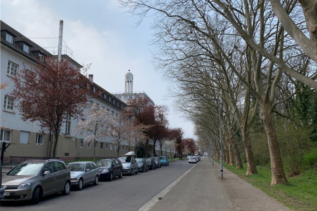 Blick in einen als "überwiegend verarmt" bewerteten Urbanen Habitatkomplex (UHK), Foto: U. Hammes Straße mit Häusern, parkenden Autos und auf der anderen Starßenseite Bäume und Gras
