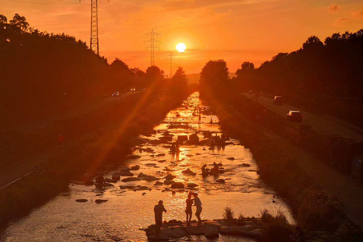 Dreisam im Sonnenuntergang