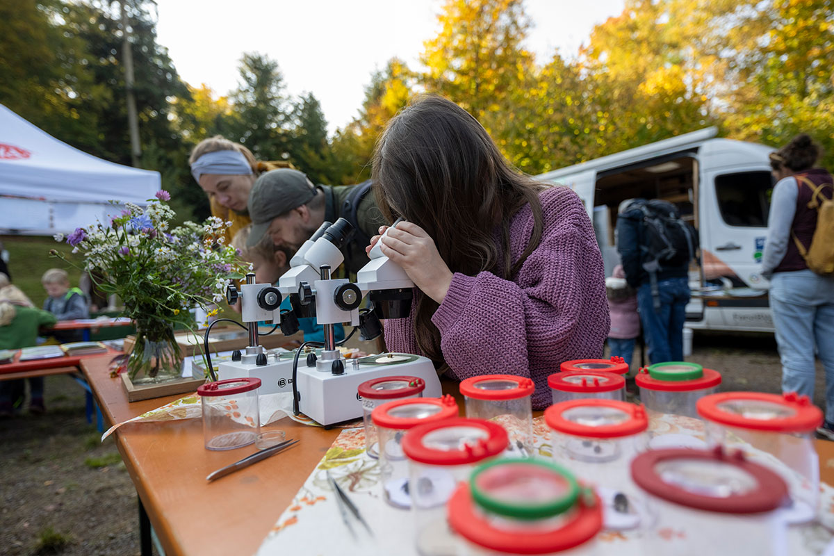 Die Angebote im offenen Jahresprogramm wurden von fast 6000 Menschen wahrgenommen wie hier beim Waldherbst, dem traditionellen herbstlichen Aktionstag.