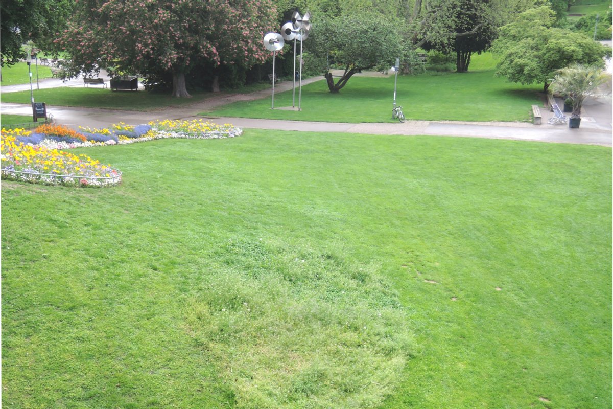 (öffentliche) Freiräume, Foto: J. Trautner Parkanlage mit Wiese, BlumenBepfanzungen und Gehwegen