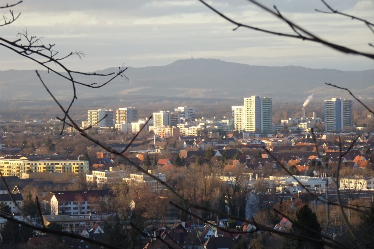 Gebäude als Lebensraumstrukturen entwickeln, Foto: J. Trautner Blick auf eine bebaute Stadt mit Bergen im Hintergrund