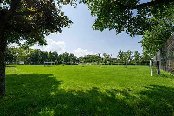 grüner Rasen mit Fußballtor