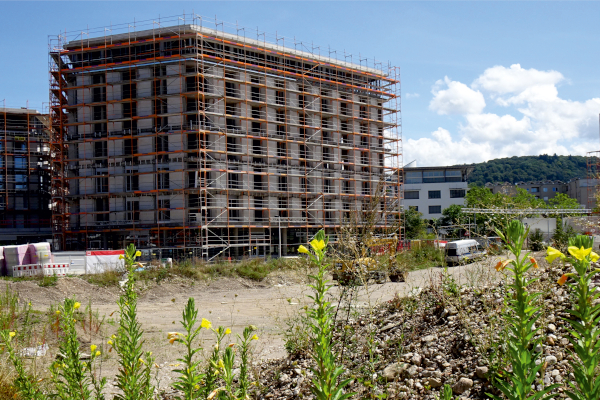 Baustelle - Erdhaufen mit blühenden Wildpflanzen und Neubau mit Gerüst