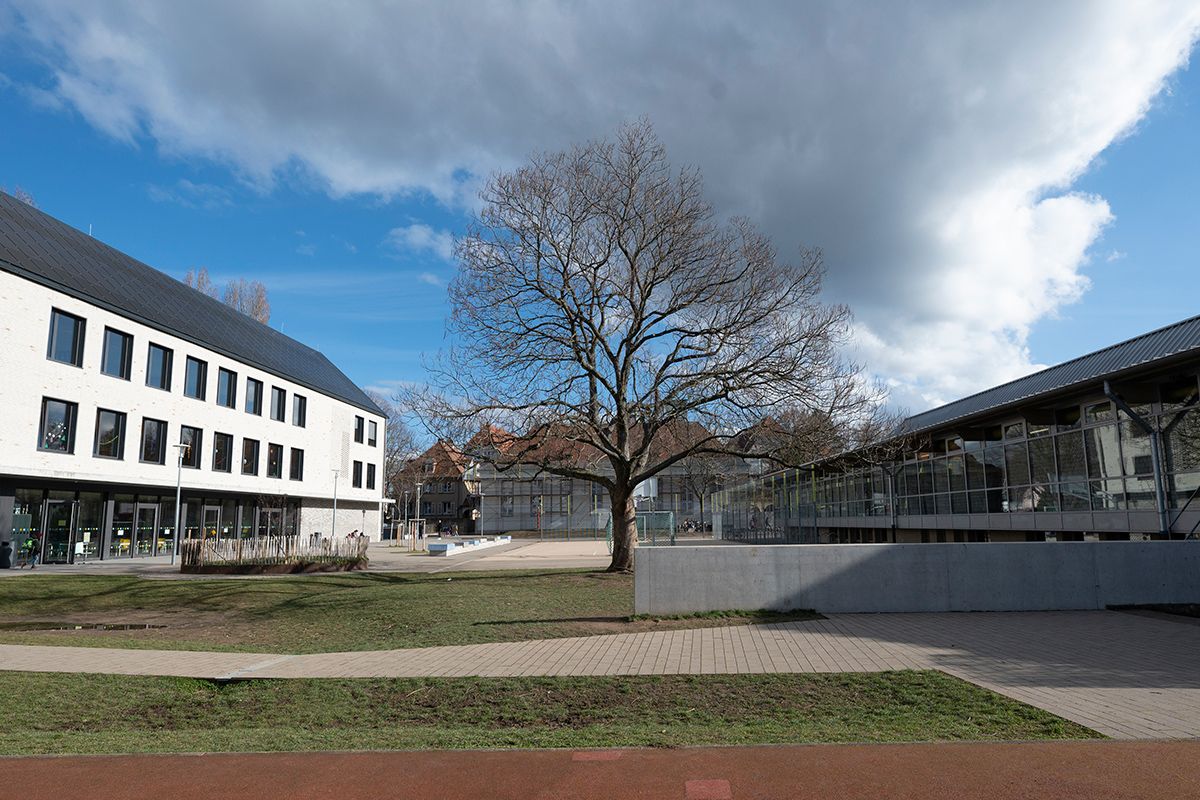 Die Sport- und Freifläche der Schule samt Schattenspendendem Baum