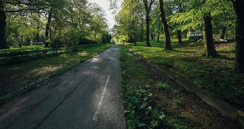 Straßenrückbau Waldsee - Erholung/Freizeit – Vorrang Fuß-/Radverkehr: Die Straße wurde zugunsten des Rad-/Fußweg rückgebaut (graue Infrastruktur grüner machen). Zudem befinden sich hier geschützte Biotope.