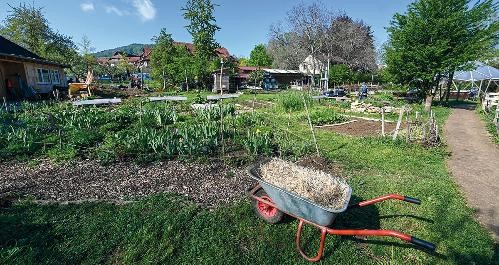 Gemeinschaftsgarten am Dorfbach (Vauban) -  Soziale Projekte / Landwirtschaft: „Zusammen gärtnern“ ist ein interkultureller, inklusiver Gemeinschaftsgarten.