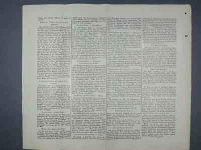 Freiburger Tagblatt Nr. 43, 19.02.1907, Foto: StadtAF C3/241/3.