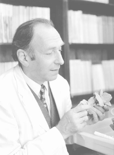 Dr. Paul Lögler, o. J., Foto: Archiv MNM.